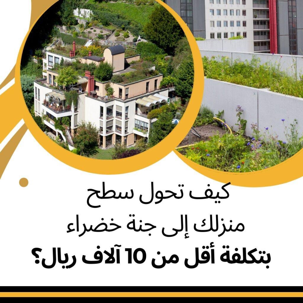 تصميم حدائق منزلية في تبوك