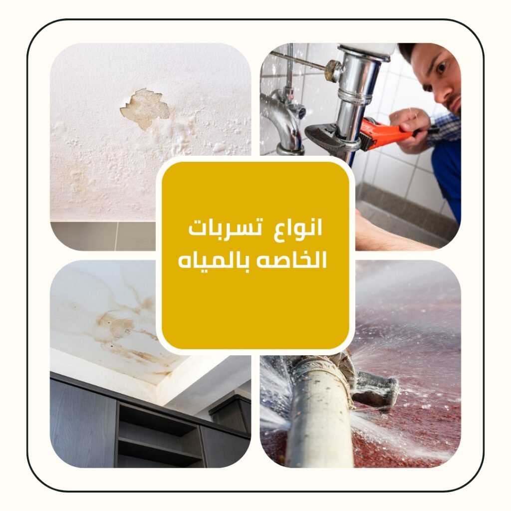 شركه كشف تسربات المياه 2