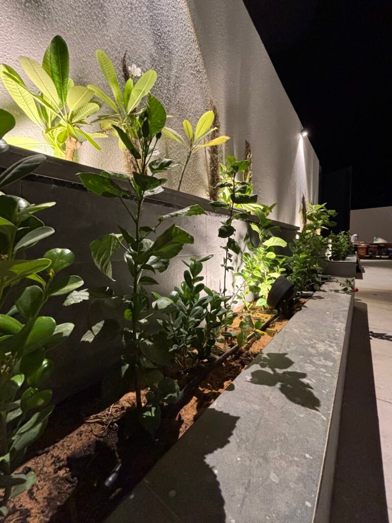 سابقه اعمال شموع تبوك في حي غرناطة13